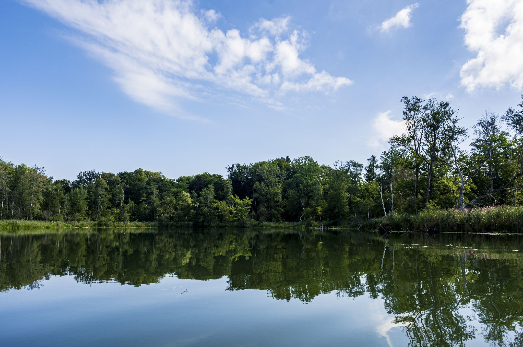 Kajaktour Leutstettner Moos 21.08.2022
